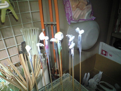 f:id:mako0079:20150323173503j:image:w360