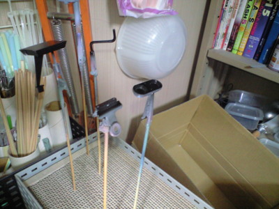 f:id:mako0079:20160128173540j:image:w360
