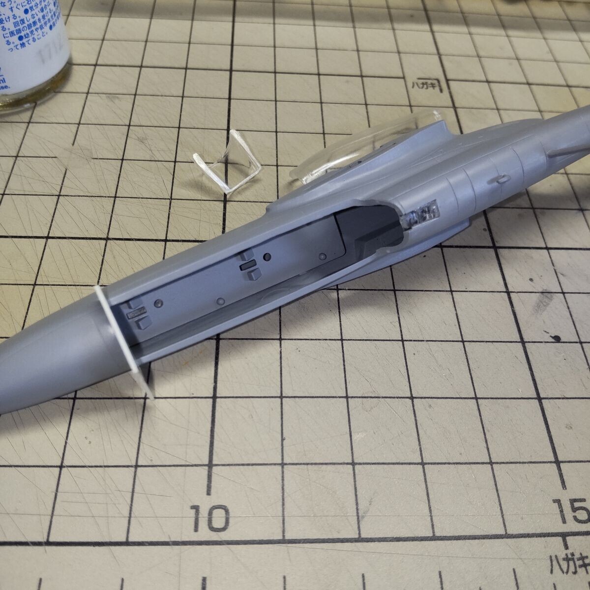 キャノピー設置のための準備