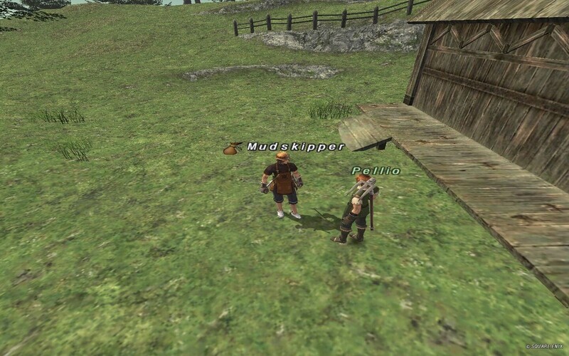 ホワイトベリー交換