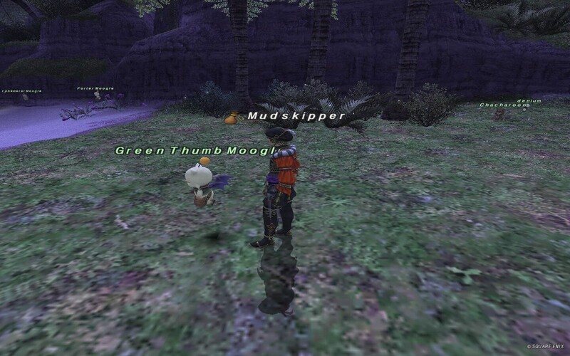 モグガーデンでログアウト