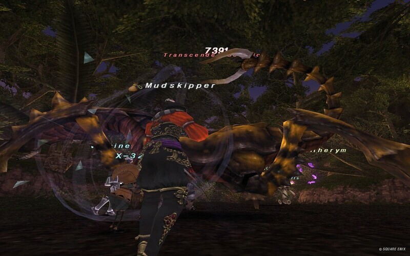 メナスNM その３