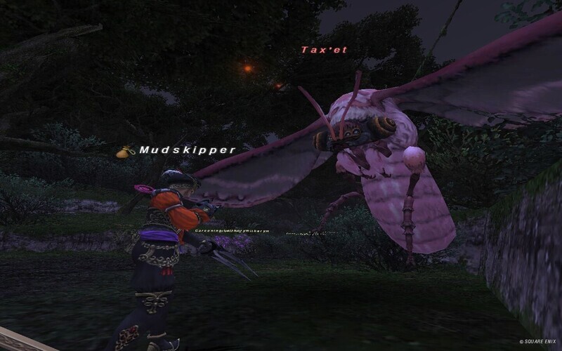 メナスNM その５