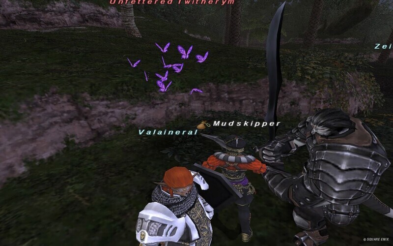 メナスNM その１