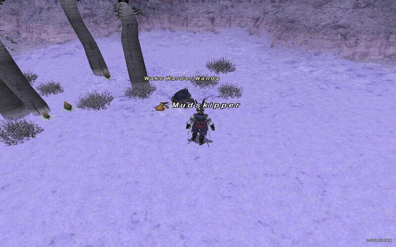 ブブリムのカニNM