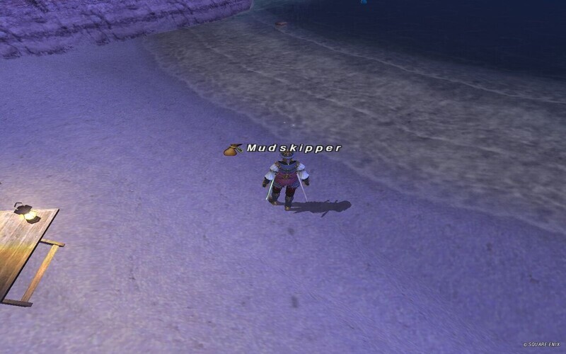 モグガーデンの漂流物