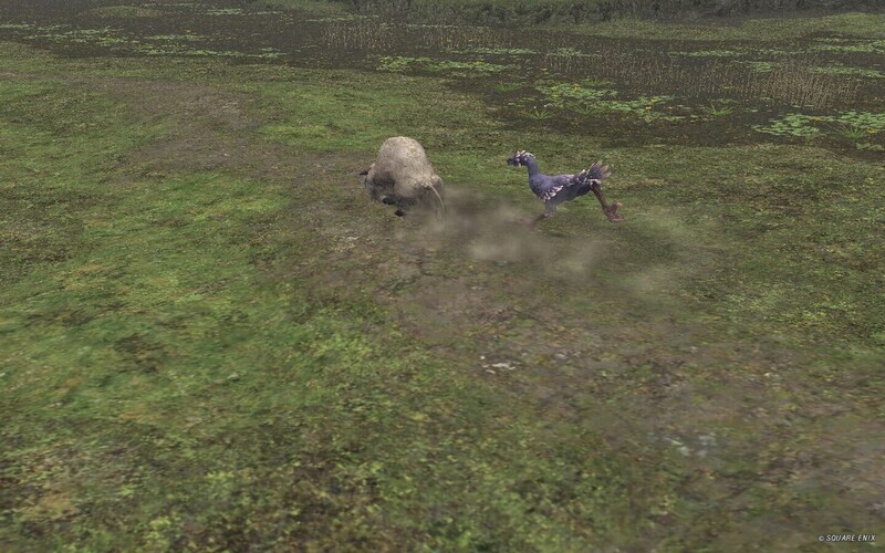 デュエラーズレース