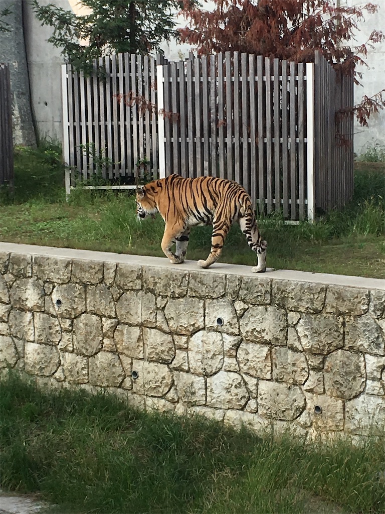 f:id:mako0625:20161002172427j:image