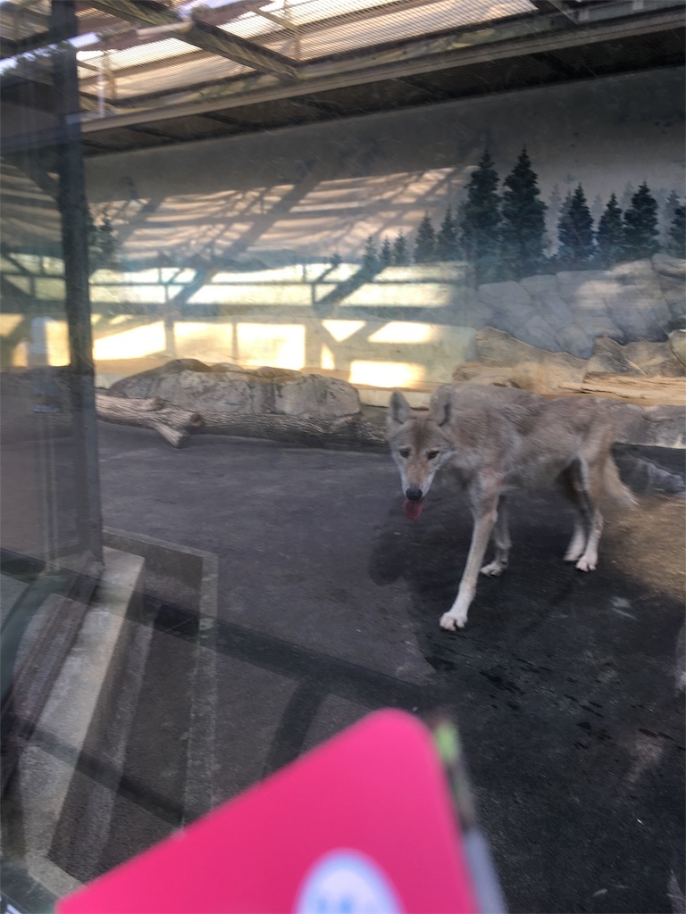 f:id:mako0625:20161002172453j:image