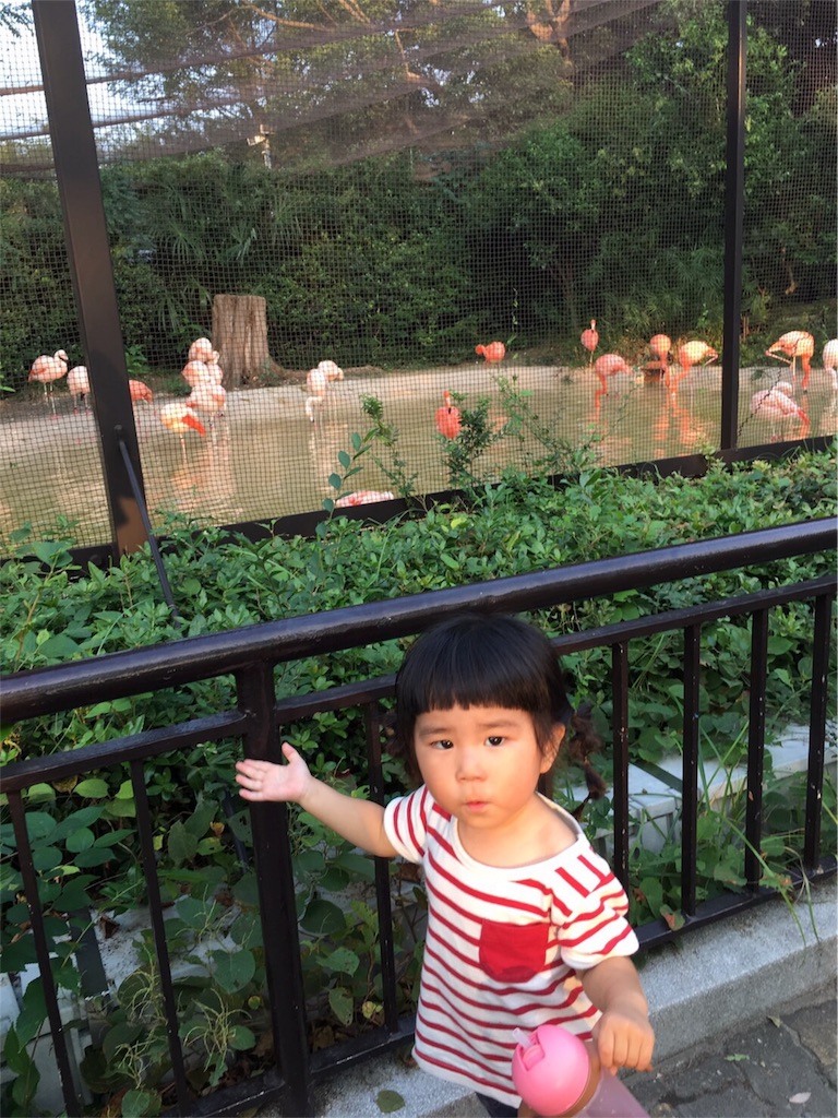 f:id:mako0625:20161002172711j:image