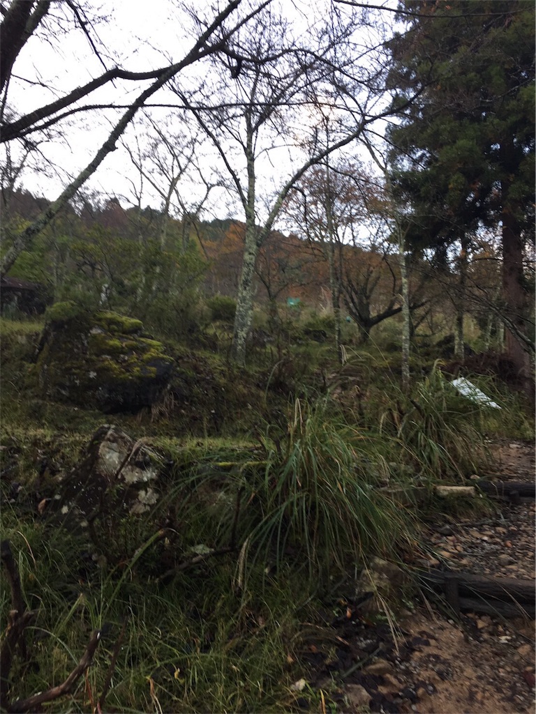 f:id:mako0625:20161103185232j:image