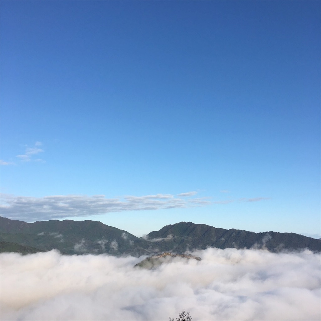 f:id:mako0625:20161103190435j:image