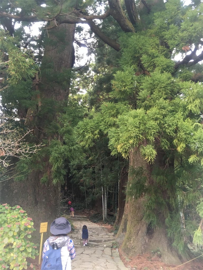 f:id:mako0625:20170103093419j:image