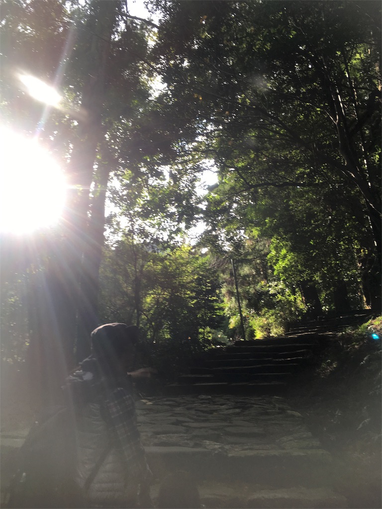 f:id:mako0625:20170103094330j:image