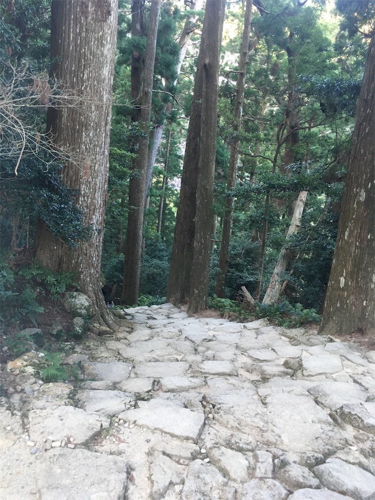 f:id:mako0625:20170103102349j:image