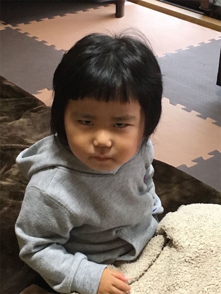 f:id:mako0625:20170109195645j:image