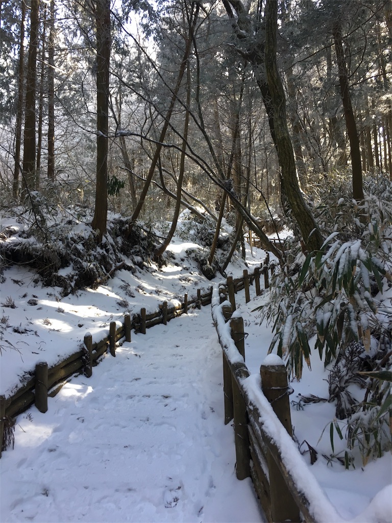 f:id:mako0625:20170117183412j:image