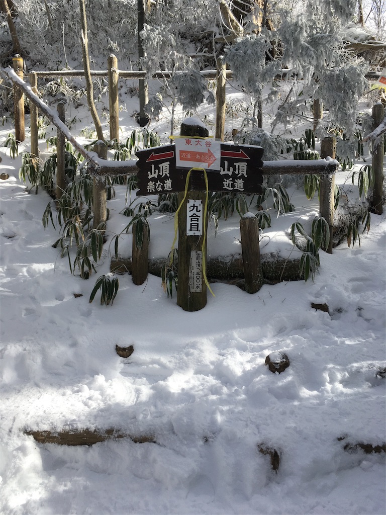 f:id:mako0625:20170117183644j:image