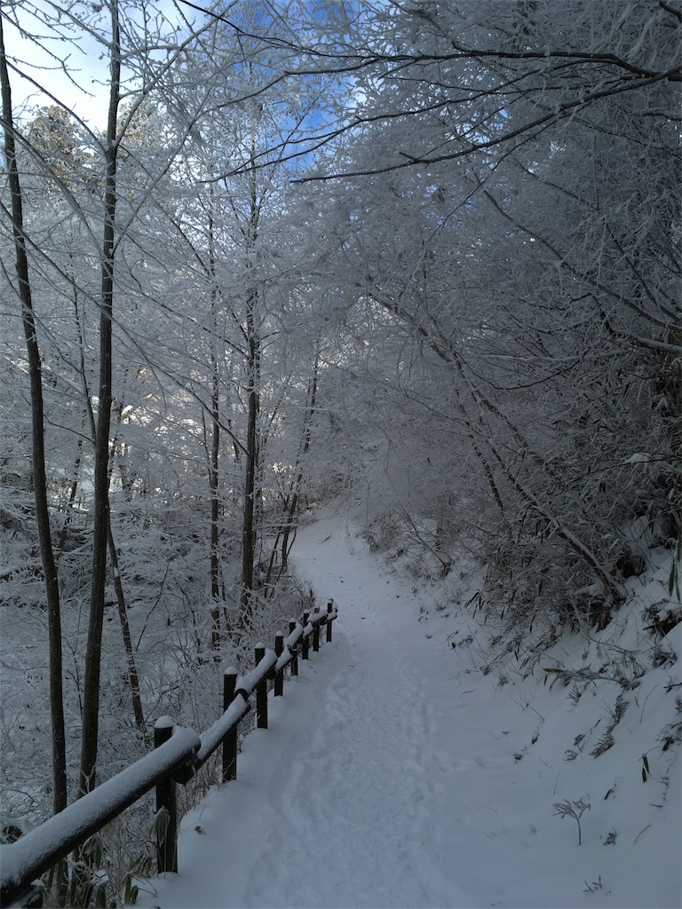 f:id:mako0625:20170117184034j:image