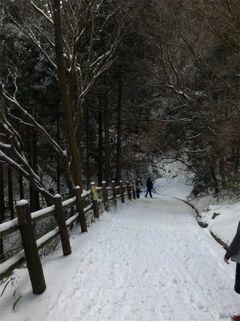 f:id:mako0625:20170117191552j:image