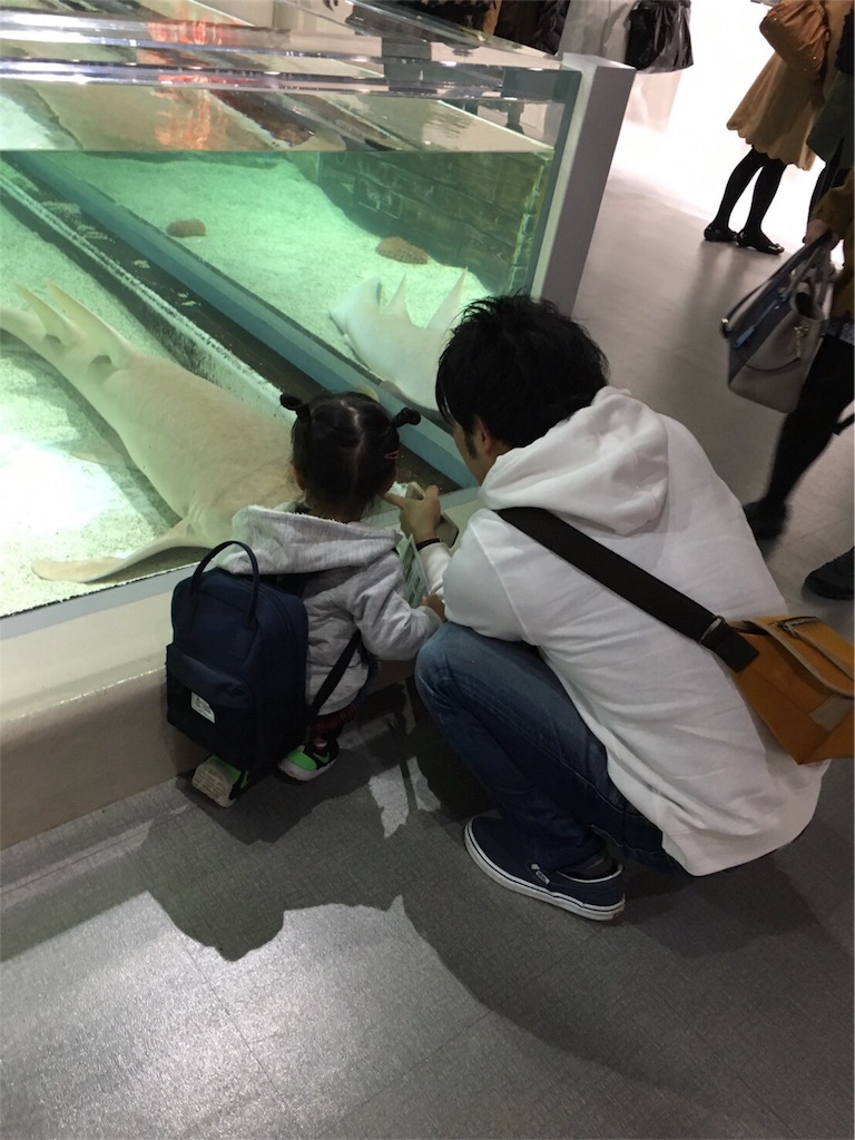 f:id:mako0625:20170308175913j:image