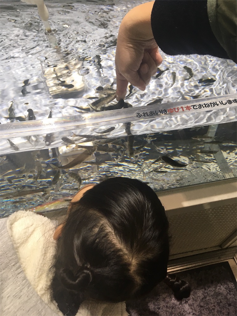 f:id:mako0625:20170308180019j:image