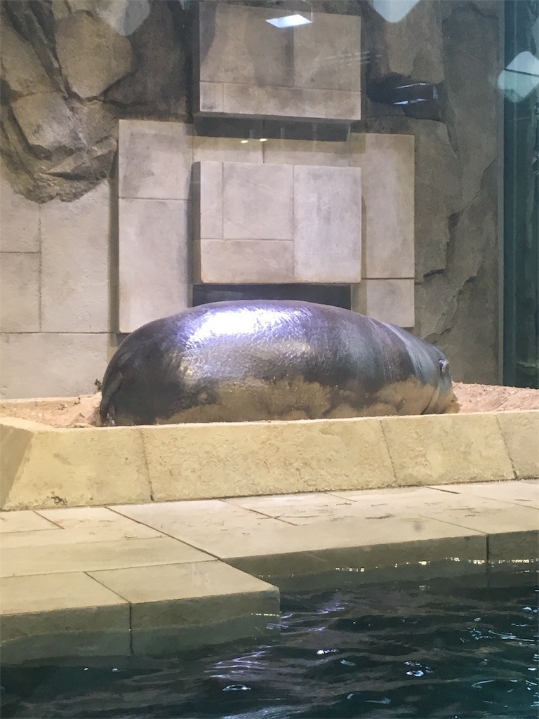 f:id:mako0625:20170308181801j:image