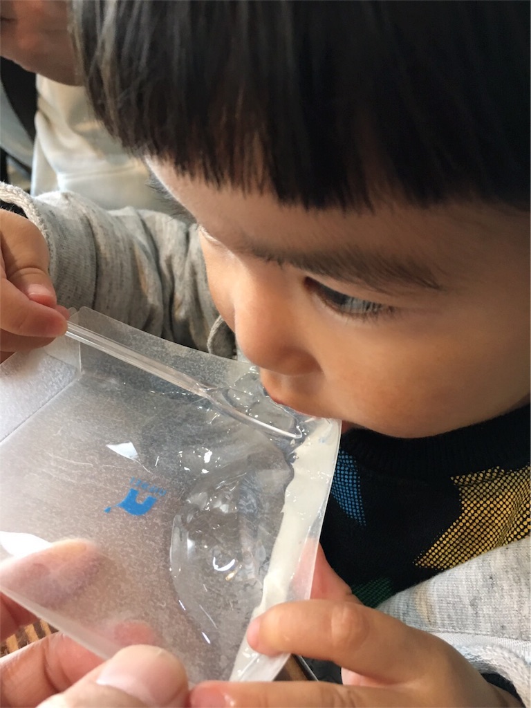 f:id:mako0625:20170308182103j:image