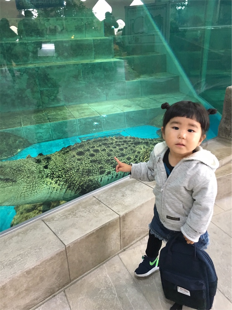 f:id:mako0625:20170308182301j:image