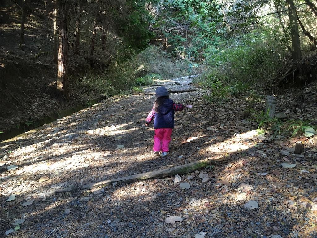 f:id:mako0625:20171218054451j:image f:id:mako0625:20171218054451j:image