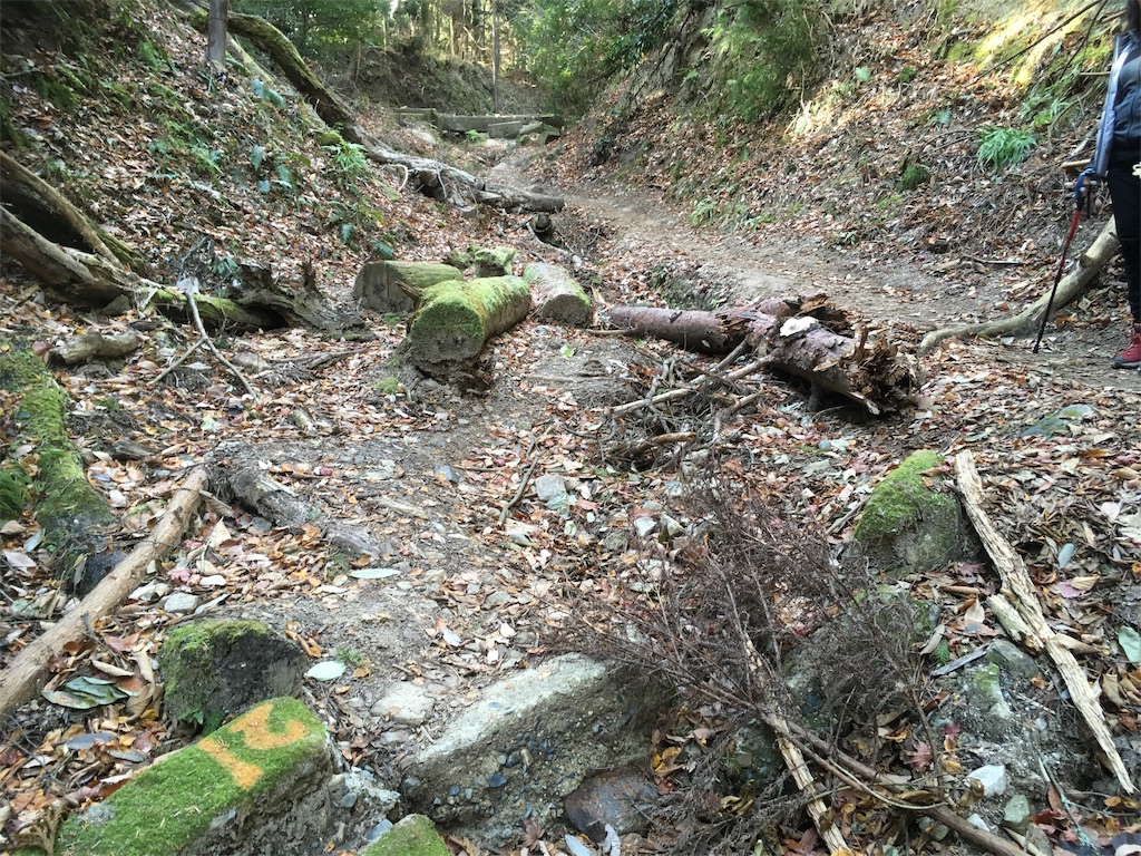 f:id:mako0625:20171218055233j:image f:id:mako0625:20171218055233j:image