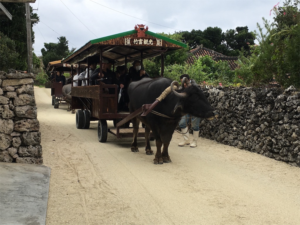 f:id:mako0625:20180201202943j:image f:id:mako0625:20180201202943j:image