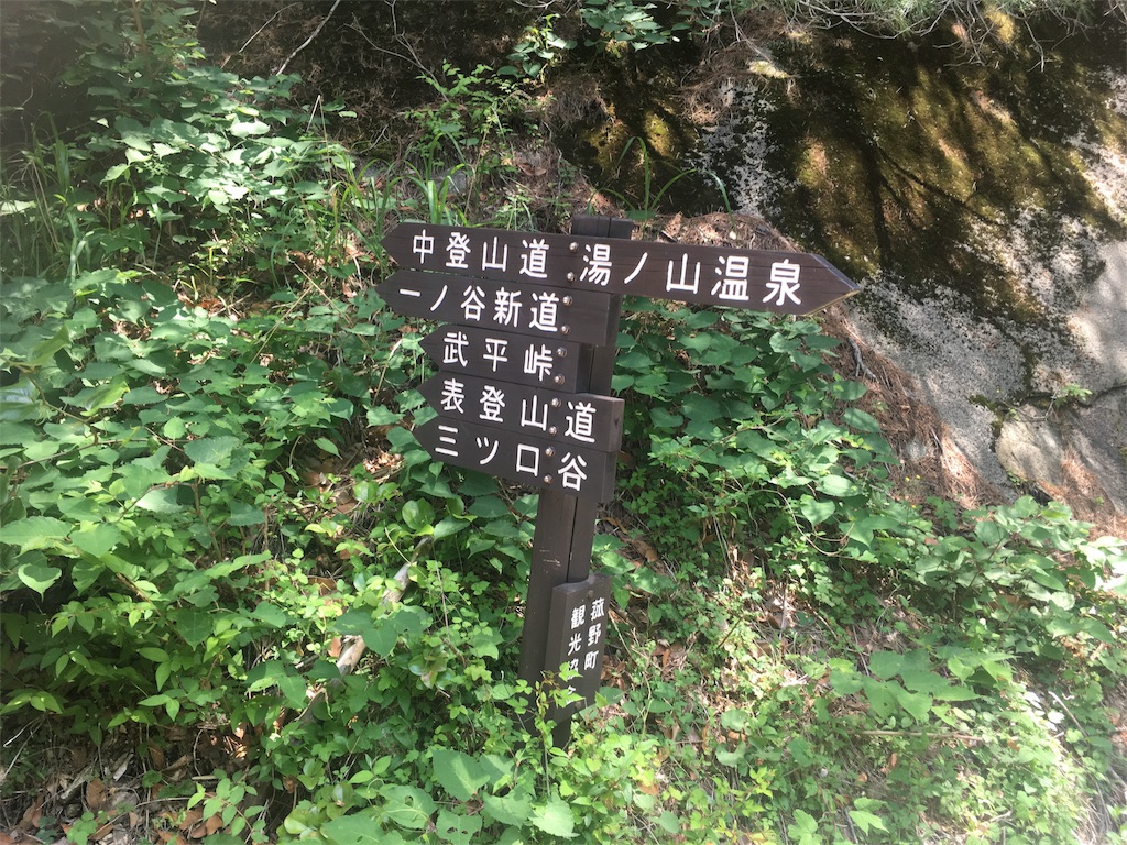 f:id:mako0625:20180528171638j:image f:id:mako0625:20180528171638j:image