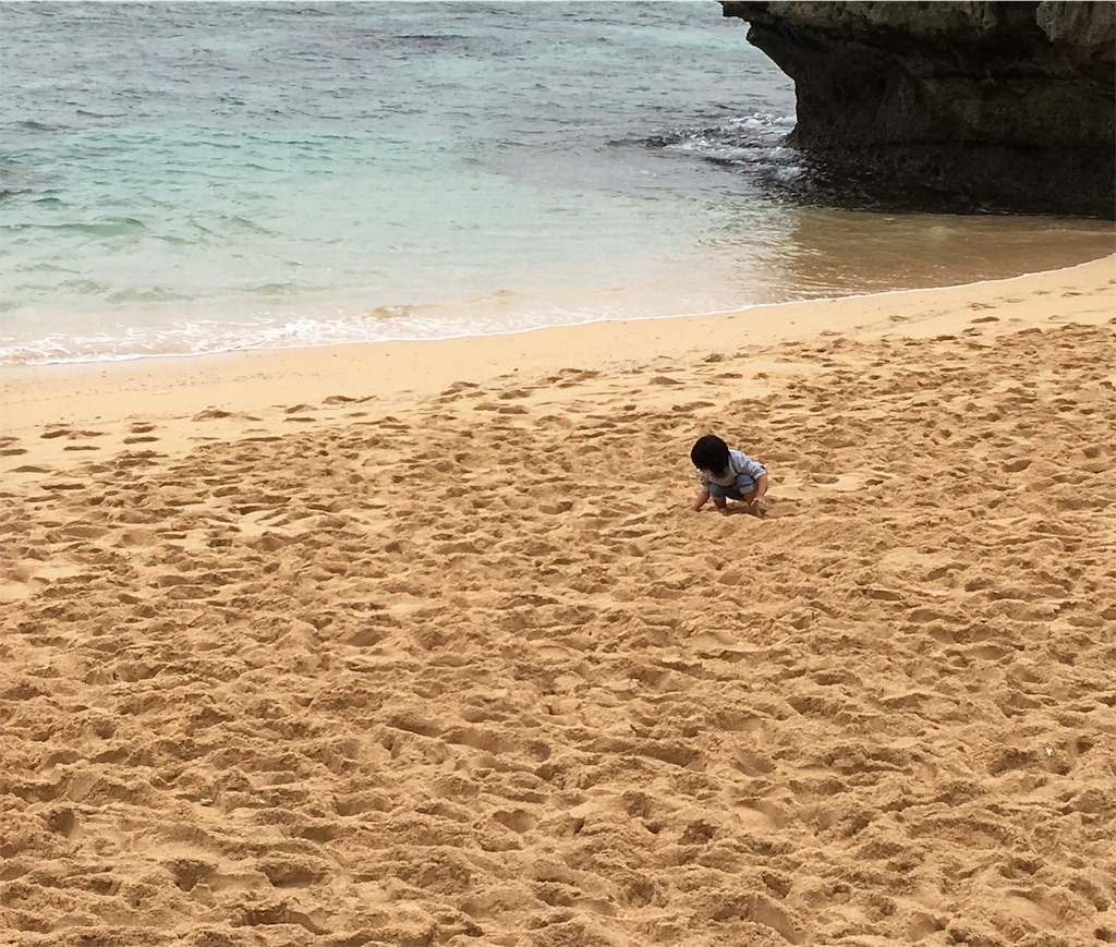 f:id:mako0625:20190110065852j:image