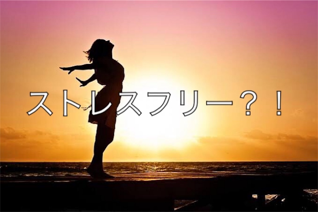 f:id:mako0625:20190720162128j:image f:id:mako0625:20190720162128j:image