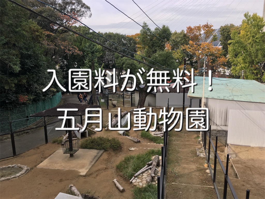 f:id:mako0625:20191118153212j:image