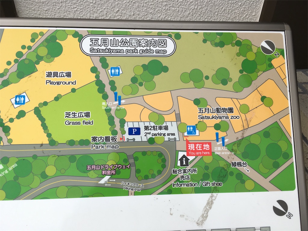 f:id:mako0625:20191118160948j:image