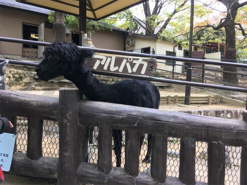 f:id:mako0625:20191118163026j:image