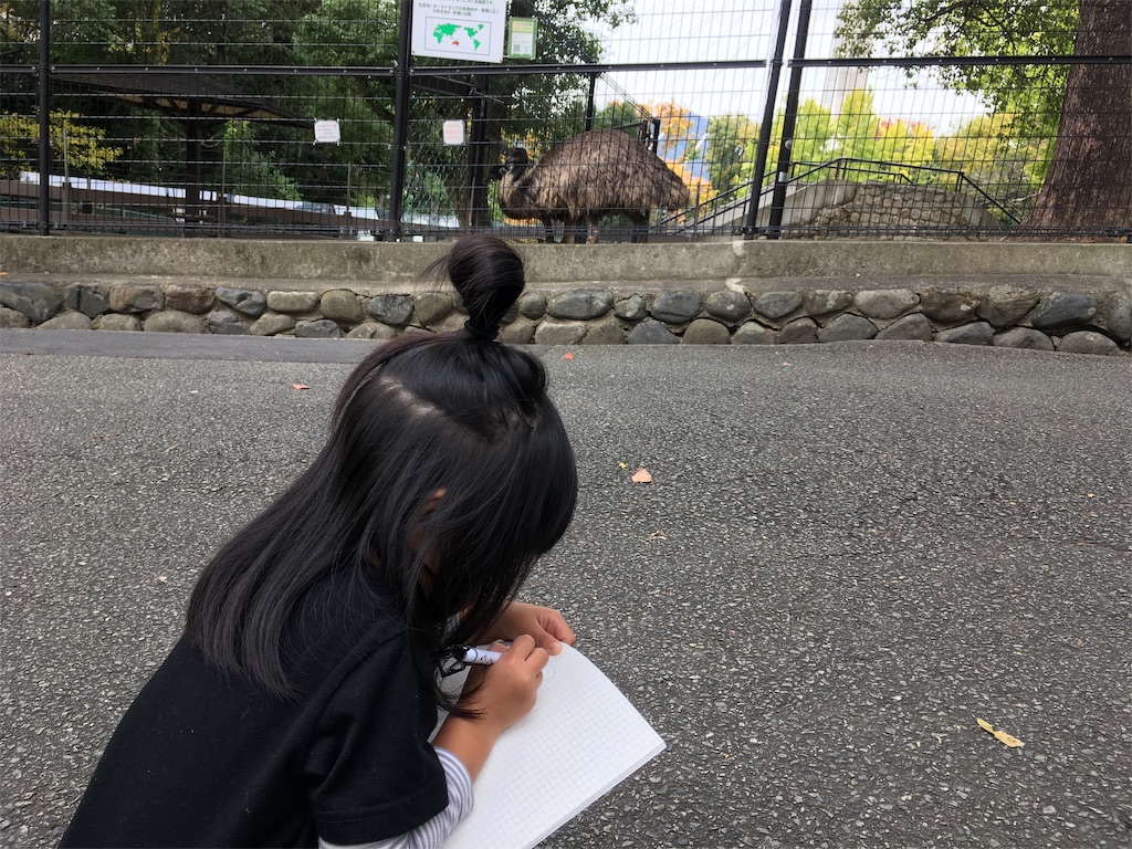 f:id:mako0625:20191118163412j:image