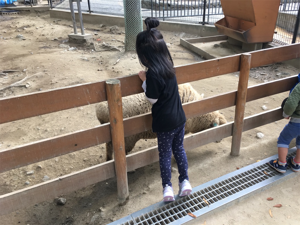 f:id:mako0625:20191118172903j:image