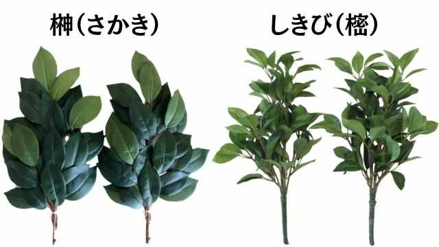 ま~ちゃんのつぶやき