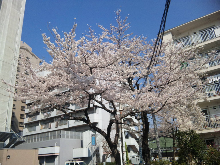 f:id:mako4648:20120414230315j:image:w400