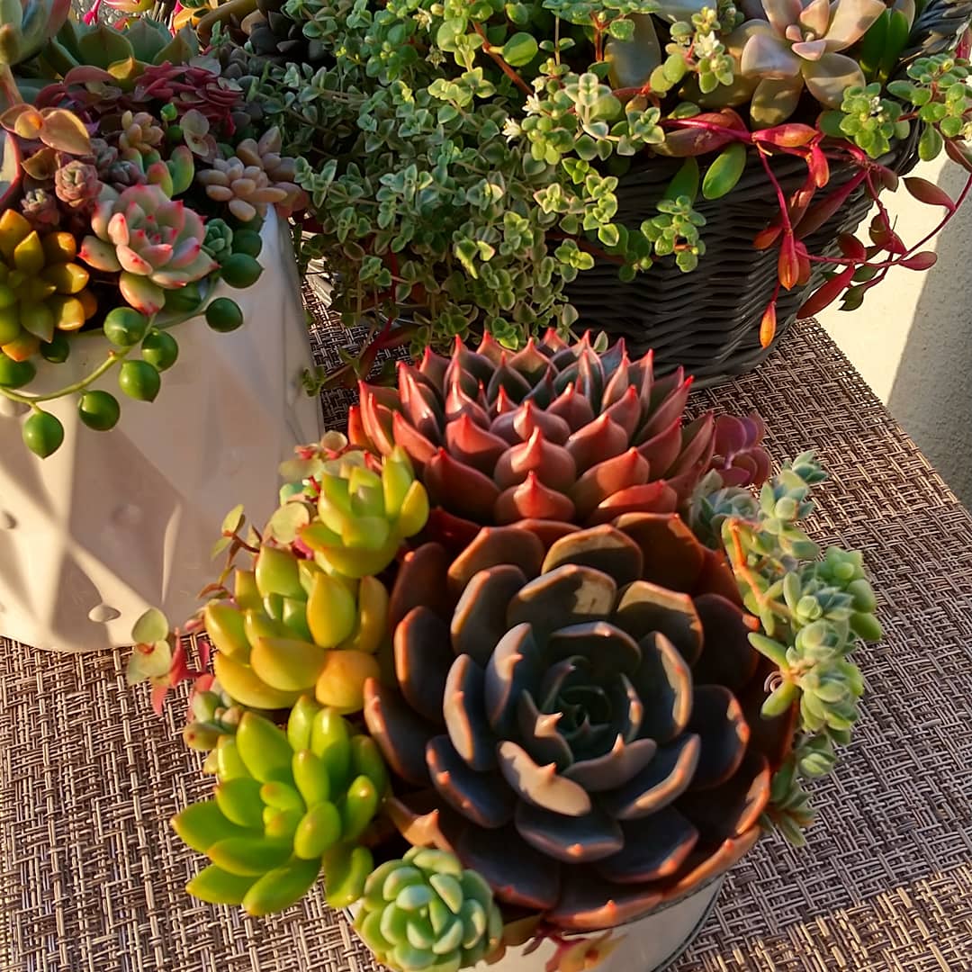 f:id:mako7tete:20210418102153j:plain