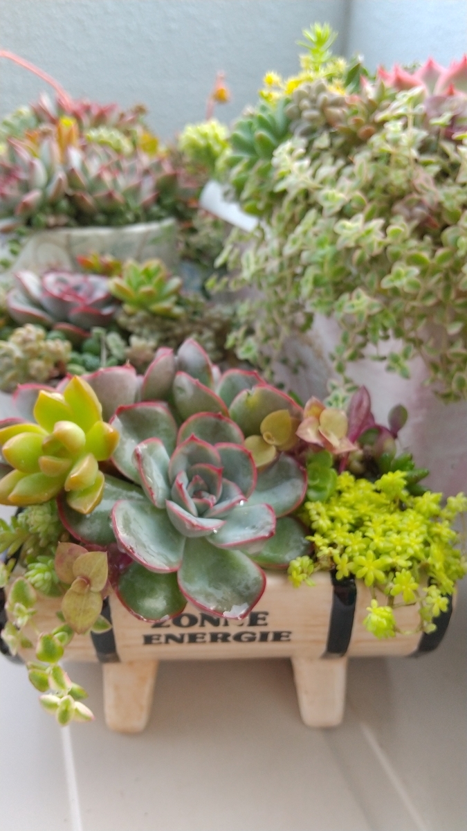 f:id:mako7tete:20210502114915j:plain