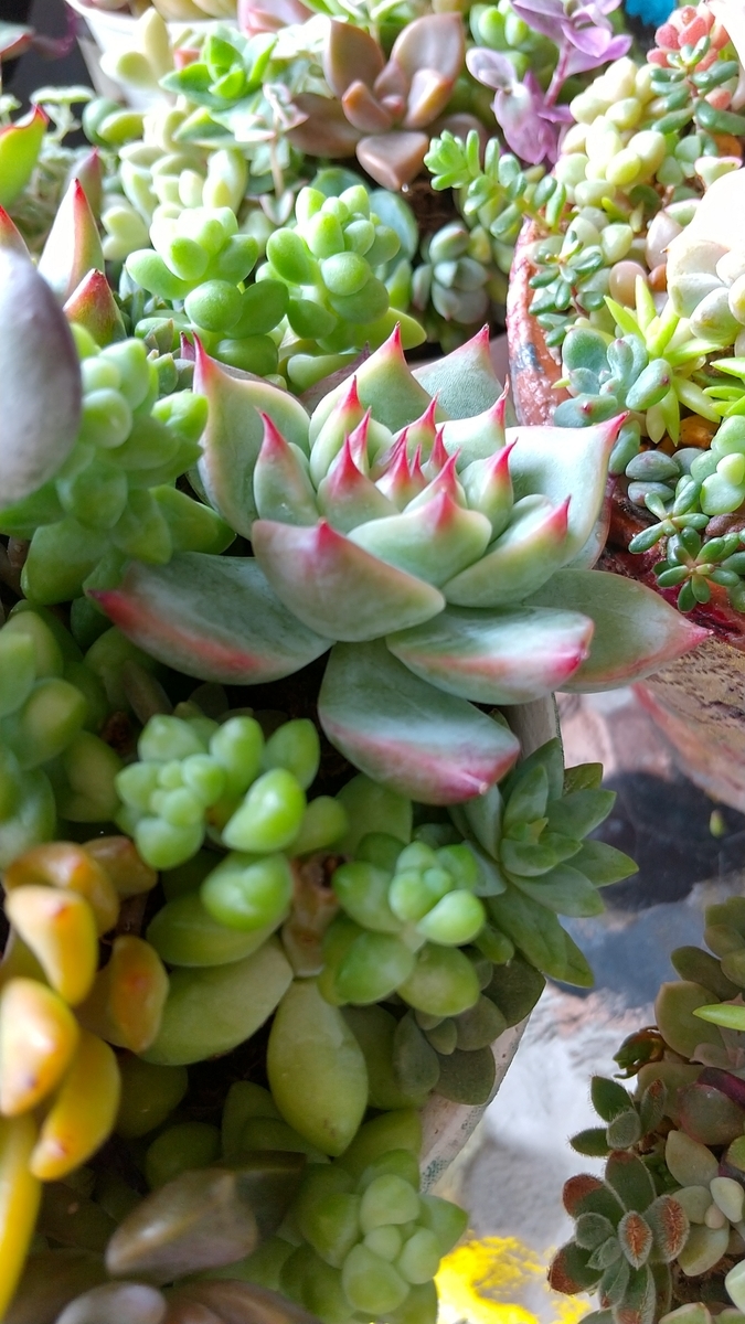 f:id:mako7tete:20210703091722j:plain