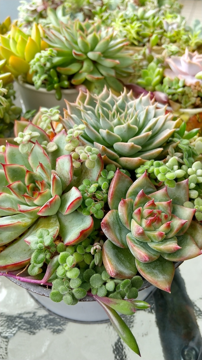 f:id:mako7tete:20210718112848j:plain