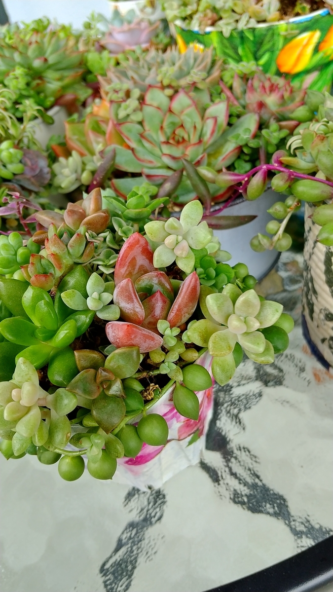 f:id:mako7tete:20210718112929j:plain