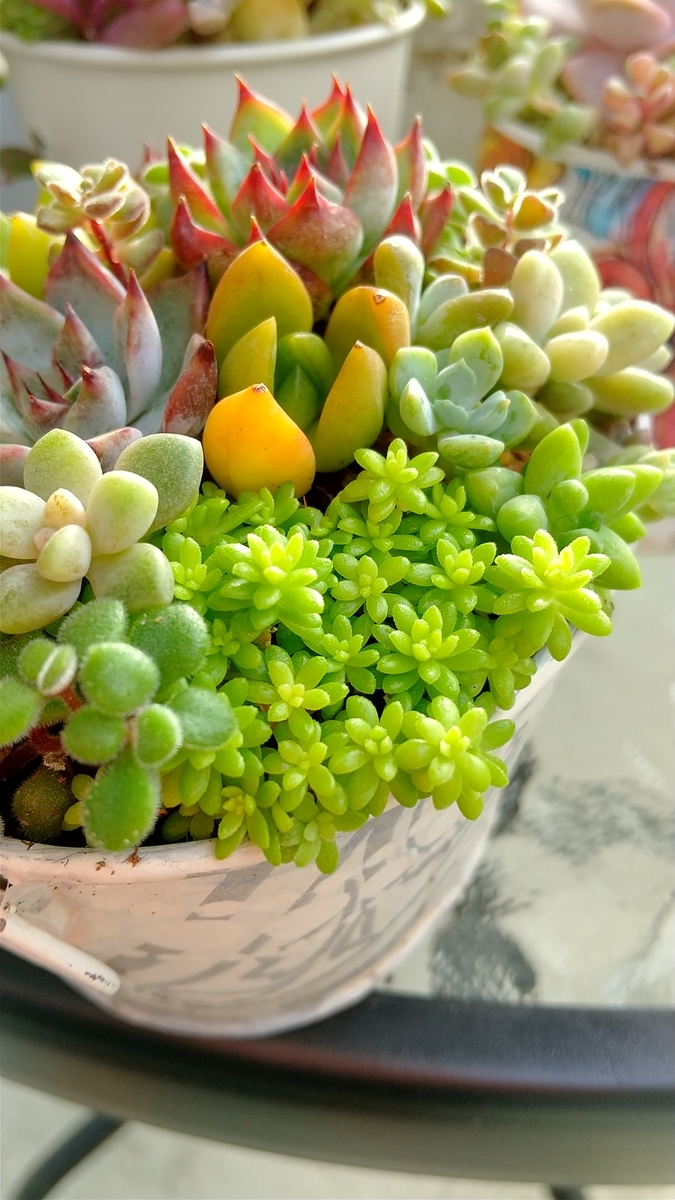 f:id:mako7tete:20210729073016j:plain