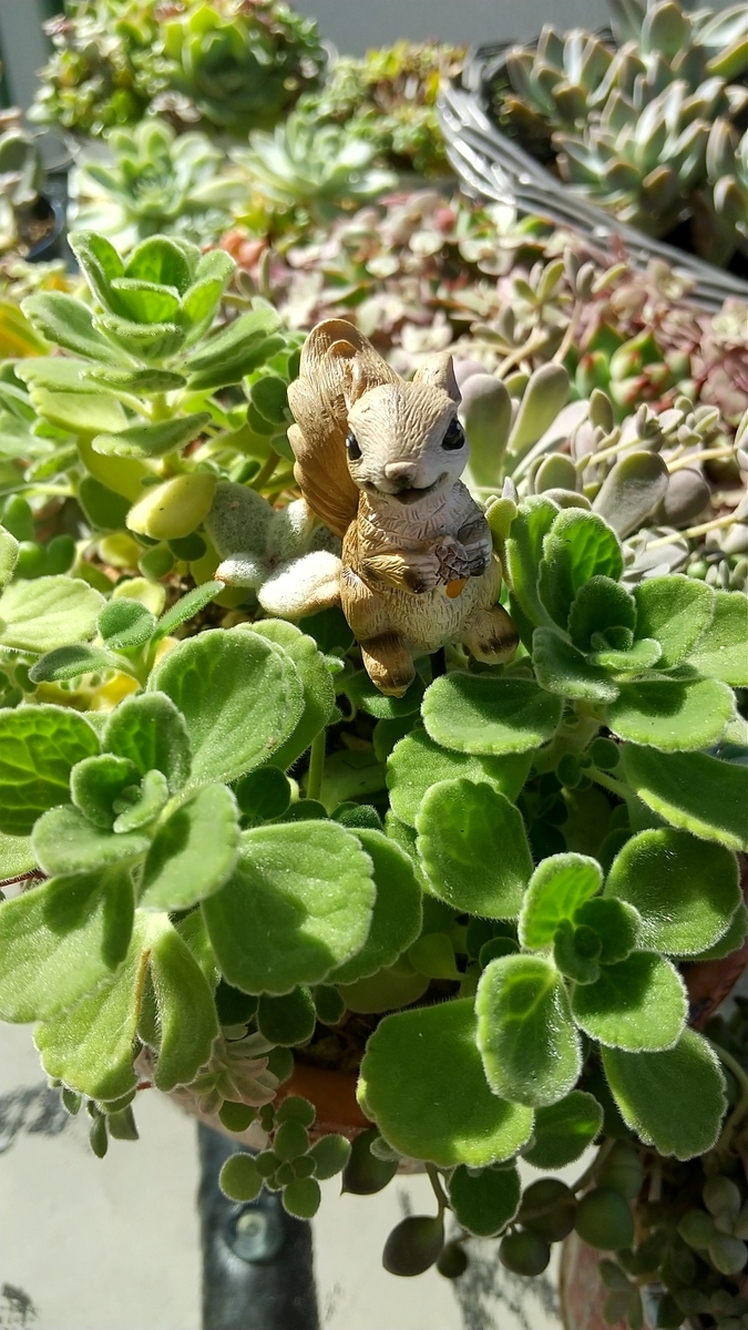 f:id:mako7tete:20210822100900j:plain