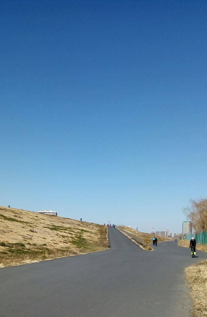 春の兆しのランニングコース